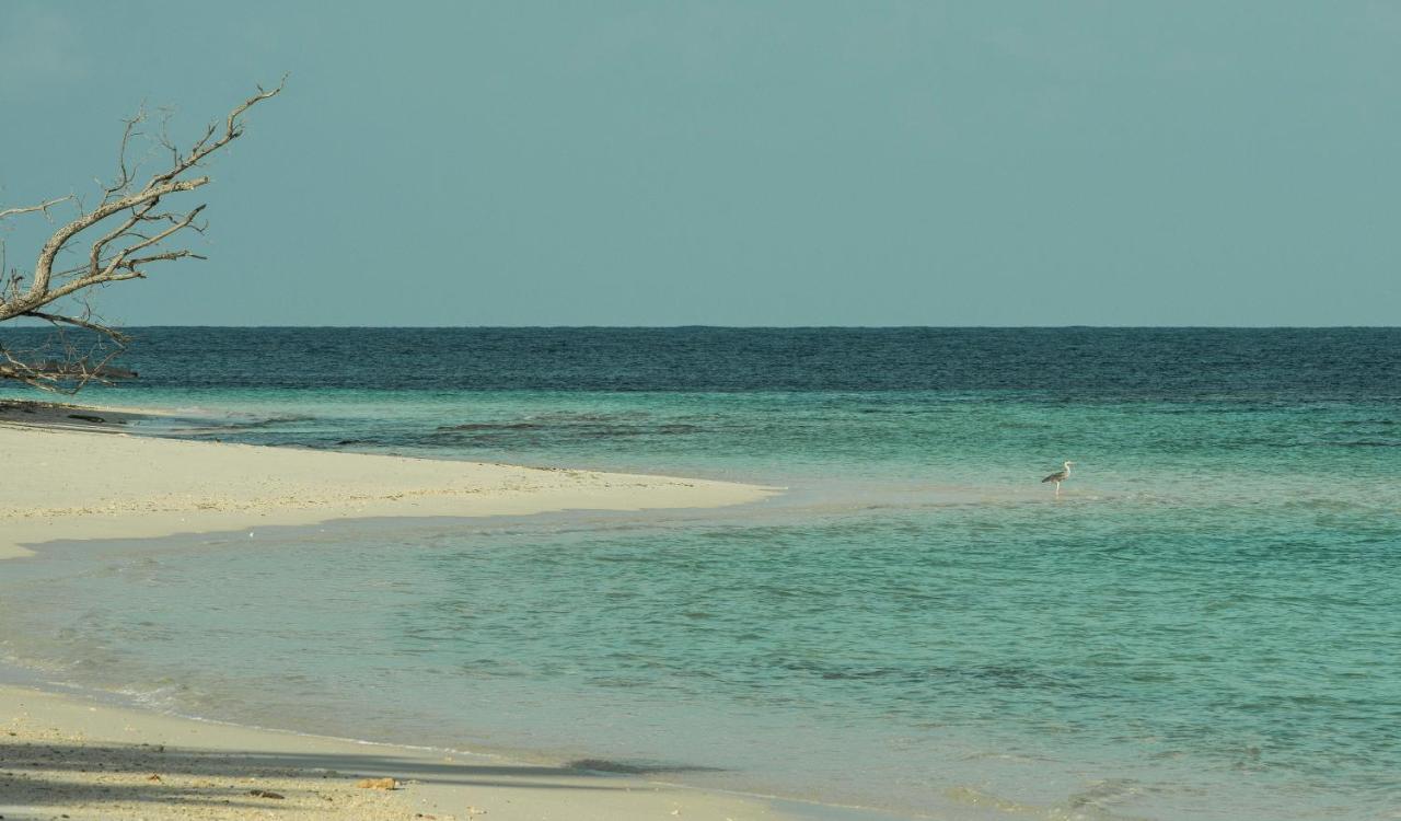 Four Seasons Resort Seychelles At Desroches Island מראה חיצוני תמונה